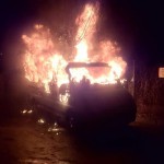 Auto von AfD-Politiker ausgebrannt