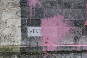verdensia