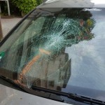 Scheiben bei Naziautos zerstört