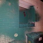 Steine, Farbe und Feuer für "Pegida NRW"-Organsisator