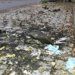 Naziauto abgefackelt