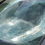 Autos von AfD-Funktionären beschädigt