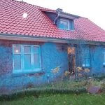 Farbe und Gülle gegen AfD-Landeszentrale