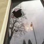 Steine gegen Burschenschaft