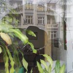 Scheiben der Grünen zerstört und Autos angezündet
