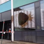 Farbe und Steine gegen Zalando