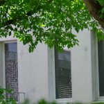 Farbe gegen Bibliothek des Konservatismus