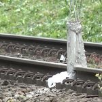 Gleisblockade vor Naziaufmarsch