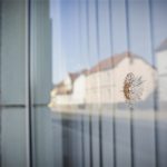 Loch in Scheibe von AfD-Büro