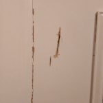 Wohnungstür bei Nazis mit Axt durchschlagen