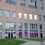Steine und Farbe gegen Rechtsanwaltskanzlei