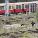 Kabelbrand an Bahnstrecke