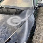 Haus und Auto einer AfD-Kandidatin angesprüht