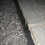 Platte Reifen für Autokorso der Verschwörungserzähler*innen und Bullen