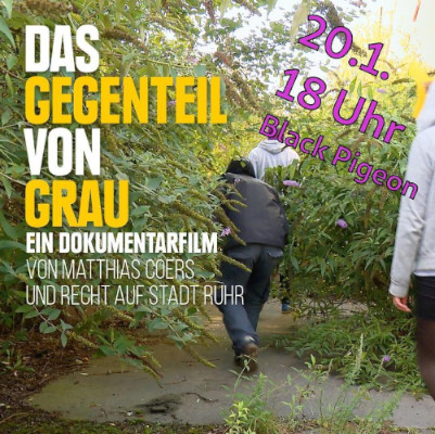 Das Gegenteil von Grau - Filmvorführung am 20.01. um 18 Uhr im Black Pigeon 