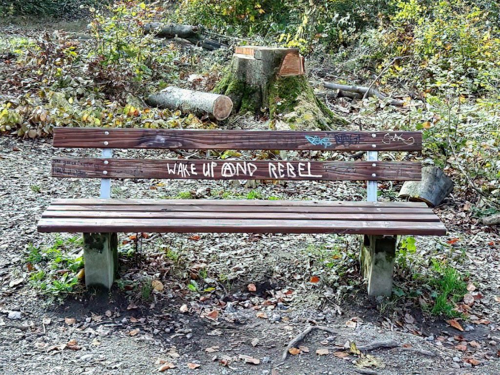 Eine Bank im Osterholz Wald auf der mit weißen Stift wake up and rebel geschrieben steht
