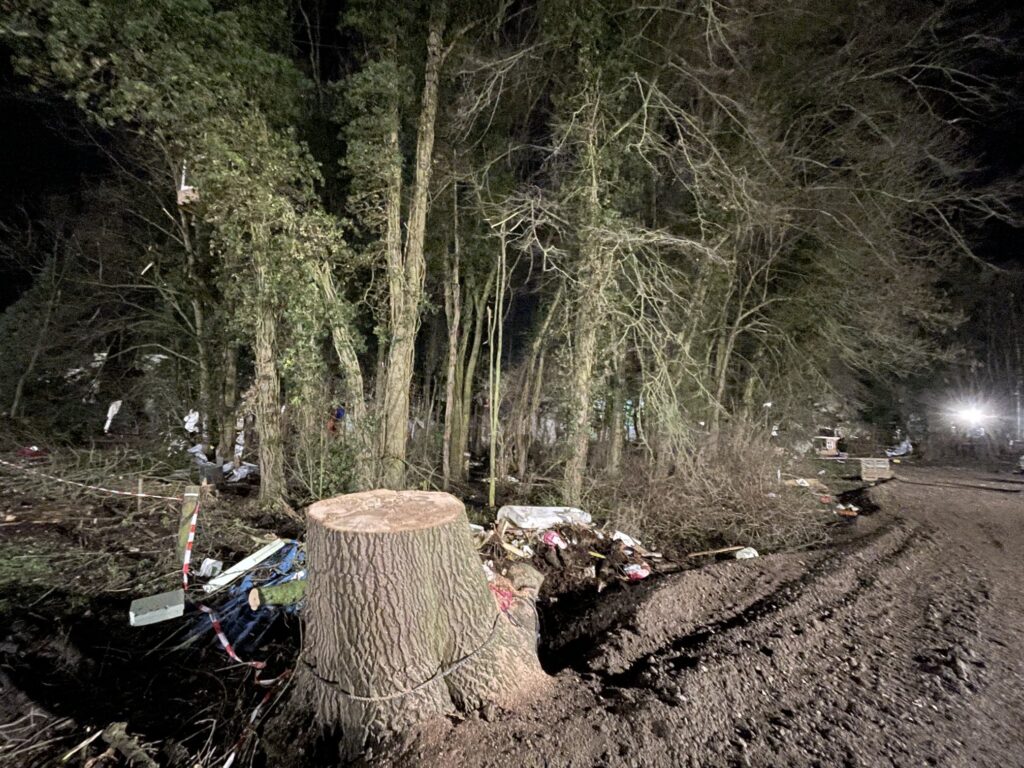 A sawed-off tree.  My friend, dead.