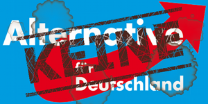 No AfD