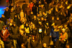 Teilnehmende von AfD und Pegida