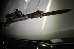 Felix Leonhard Hauser