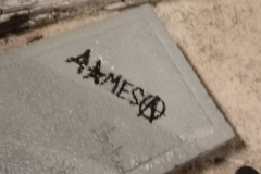 51510847_1117502675086165_4084108290374500352_n