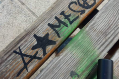 51518524_1988561141438387_3757775580007759872_n