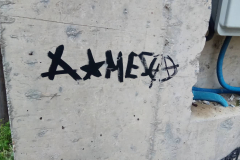 51544781_610235166048505_2125548506989985792_n