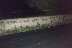 53897090_391988141599285_1749522531087286272_n