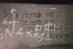 54350940_438467180225400_361345507102031872_n