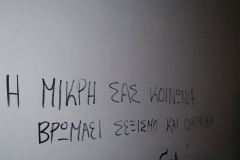 56359343_283597289230479_2491827720334344192_n