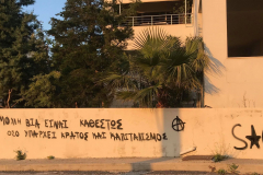 57852709_419134065575740_5320566758564691968_n