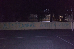 44942141_257773794887996_538195780561797120_n