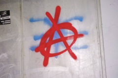 53330587_255704562050821_4009557034029547520_n