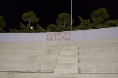 54435504_426220851468463_822766702843396096_n