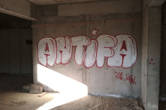 64792248_730515427376395_849069516355796992_n