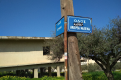 53357785_2684758518208232_2769202562350448640_n