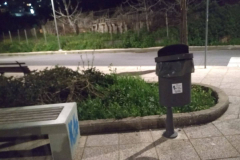 53478435_439822166754229_1716375317821521920_n