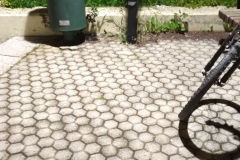 53588187_574545769716459_7669248188200517632_n