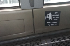 53803667_333336197301260_7136718766582267904_n