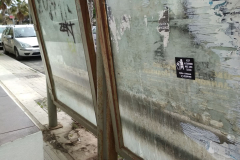 54169386_2132423520178524_3215125265524981760_n