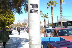 54400067_638240159937829_8490018293891989504_n