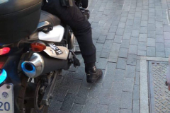 54521356_401266227089363_4133679127867686912_n