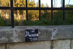 56162116_2116514498464623_3108432531226099712_n