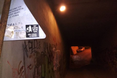 56389385_350683509123076_7189769472478019584_n