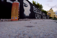 vlcsnap-2019-05-04-15h18m23s663