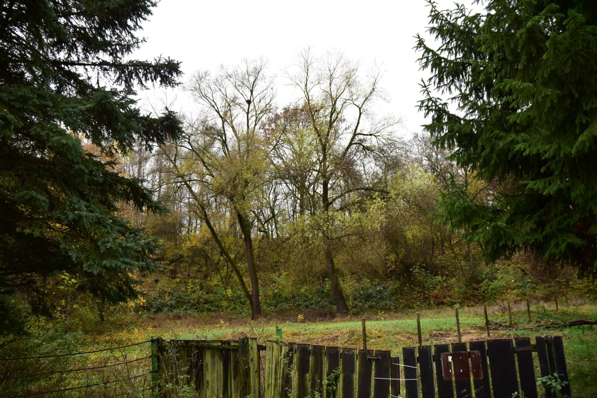 Bewohner*innen-Initiative Alte Ziegelei Nürtingen