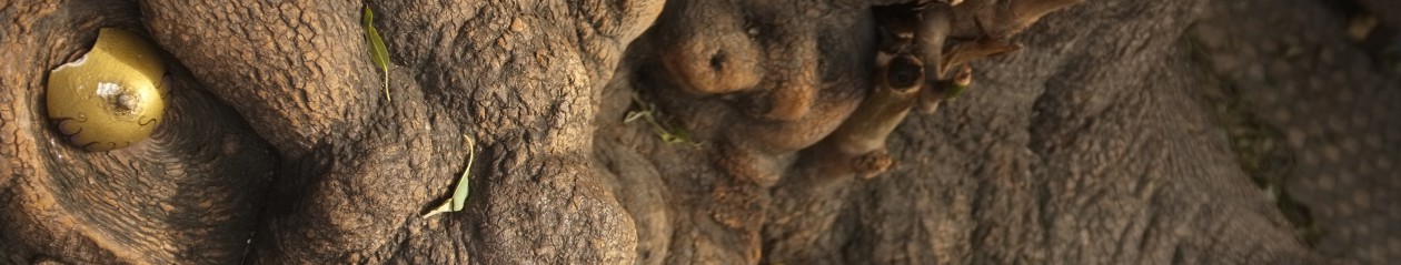 CosmicSistersOnTheSea