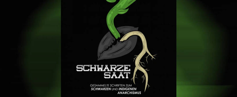 Wunderbar: Gesammelte Schrift zum Schwarzen und Indigenen Anarchismus