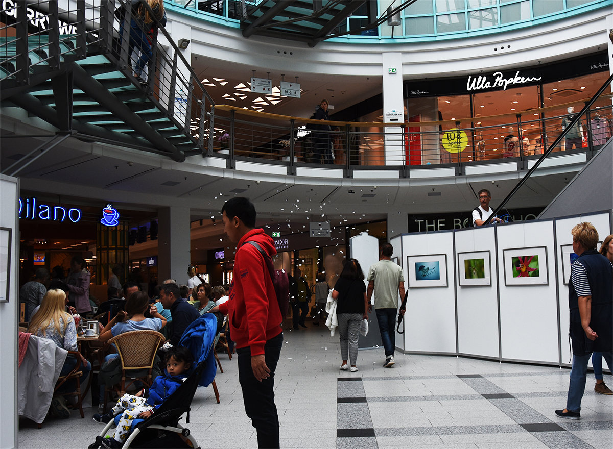 Caffier verteilt Bilder der NSU Opfer in Rostock