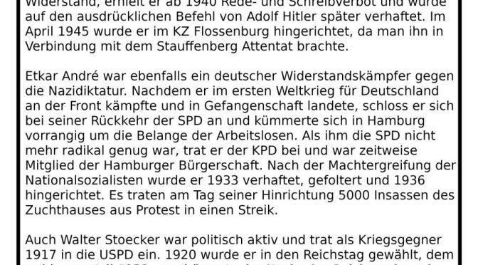 [HRO] Flyeraktion gegen AfD Demo am 25.03.2019